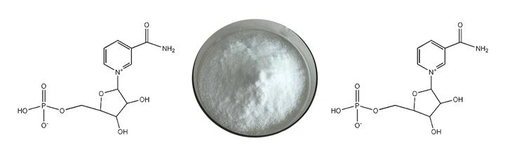 20200824172217856f94bfe0a74b538374ff0b84f61456