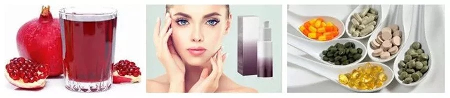 product-900-196 dried pomegranate powder application