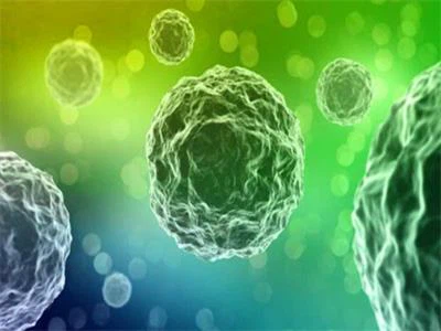 Antioxidationandanti-cancer