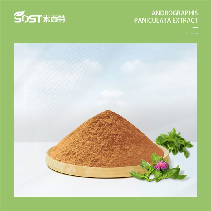 Andrographis Paniculata Extract Powder