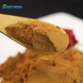 Nettle Extract Powder2 Nettle Extract Powder2