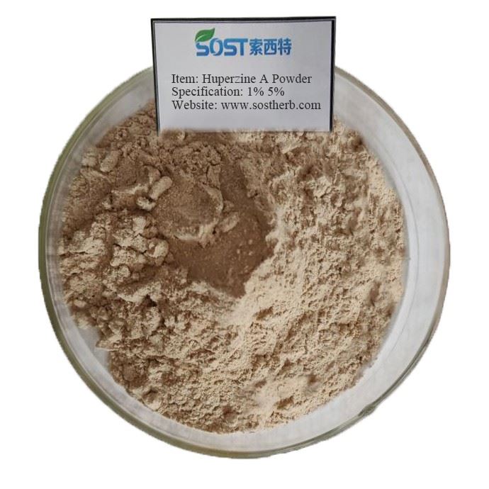 Huperzine A Powder