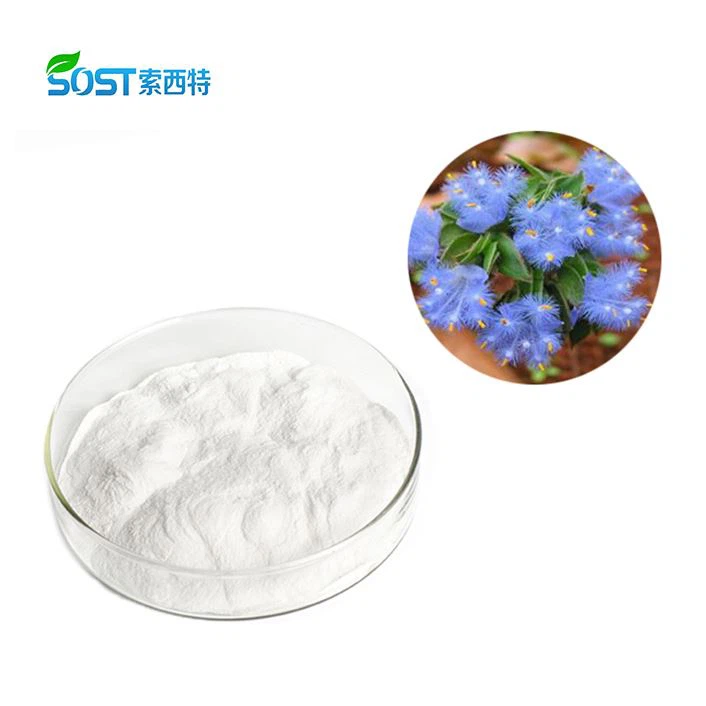 Cyanotis Arachnoidea Extract
