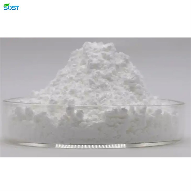 Lactiplantibacillus lantarum Powder2