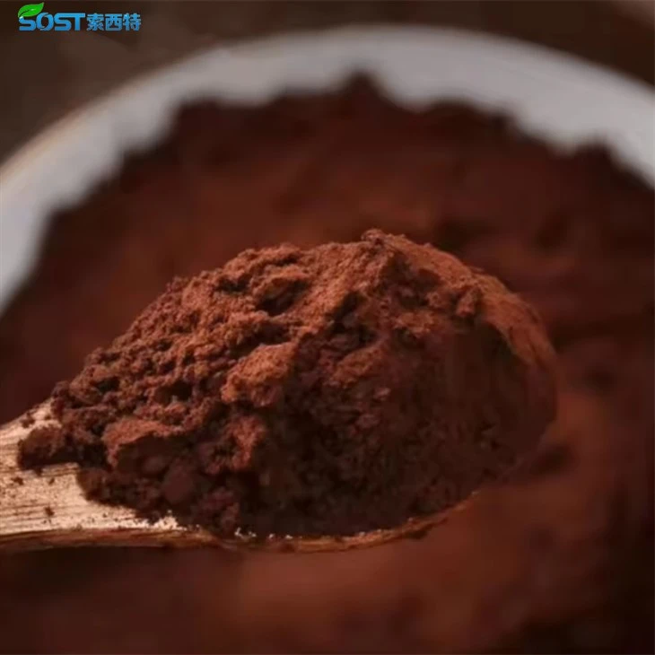 Organic Red Reishi Mushroom Powder