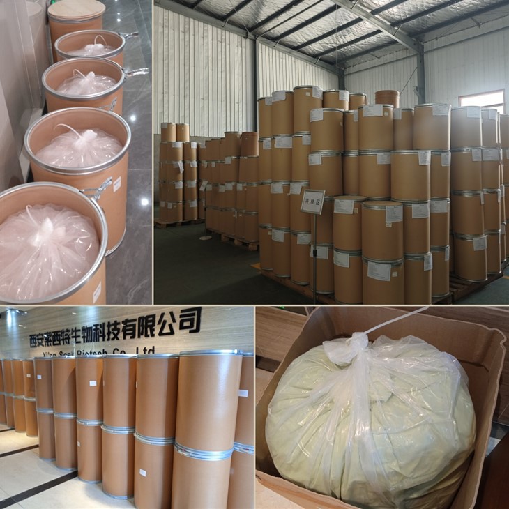 Andrographis Paniculata Extract Powder factory