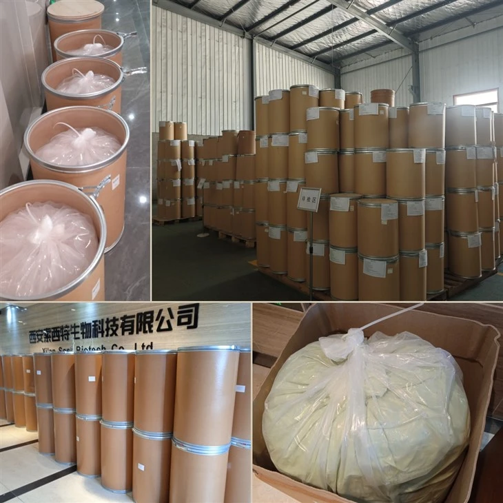 Centella Asiatica Extract Powder best